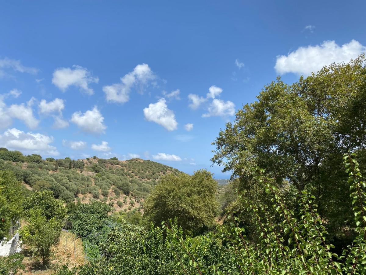The Garden House, Sitia公寓 外观 照片