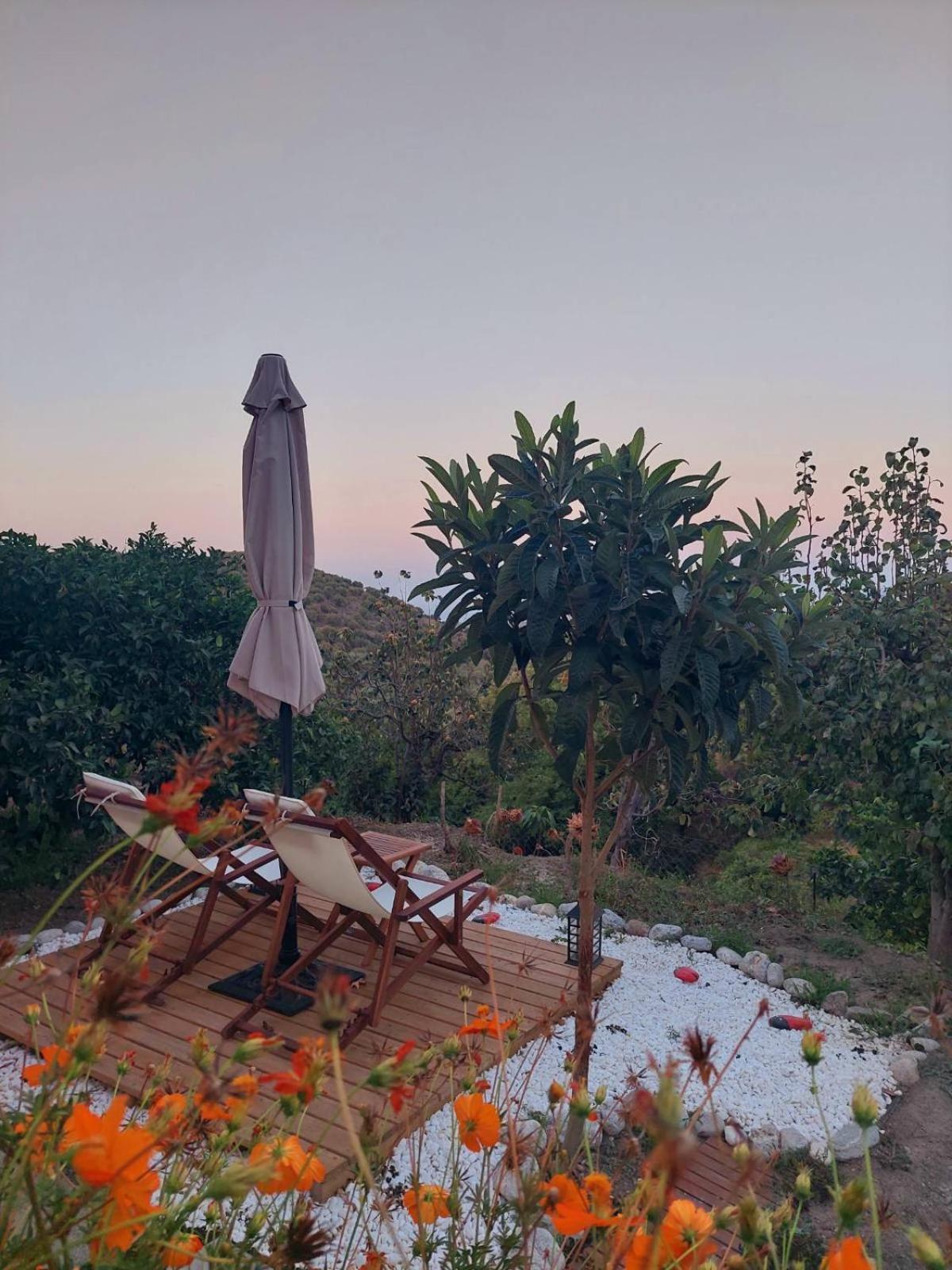 The Garden House, Sitia公寓 外观 照片